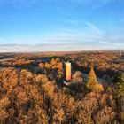 Der Burgbergwald im Februar 24 bei Sonnenaufgang