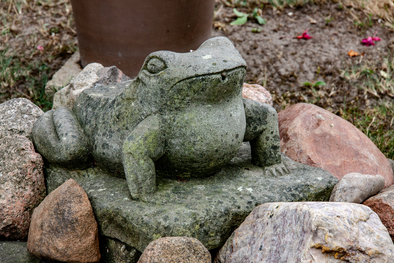 Der Burger Froschkönig...