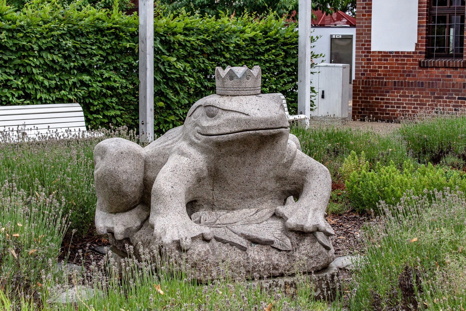 Der Burger Froschkönig...