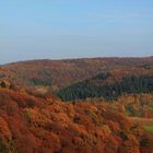 Der Burgholz im Herbst