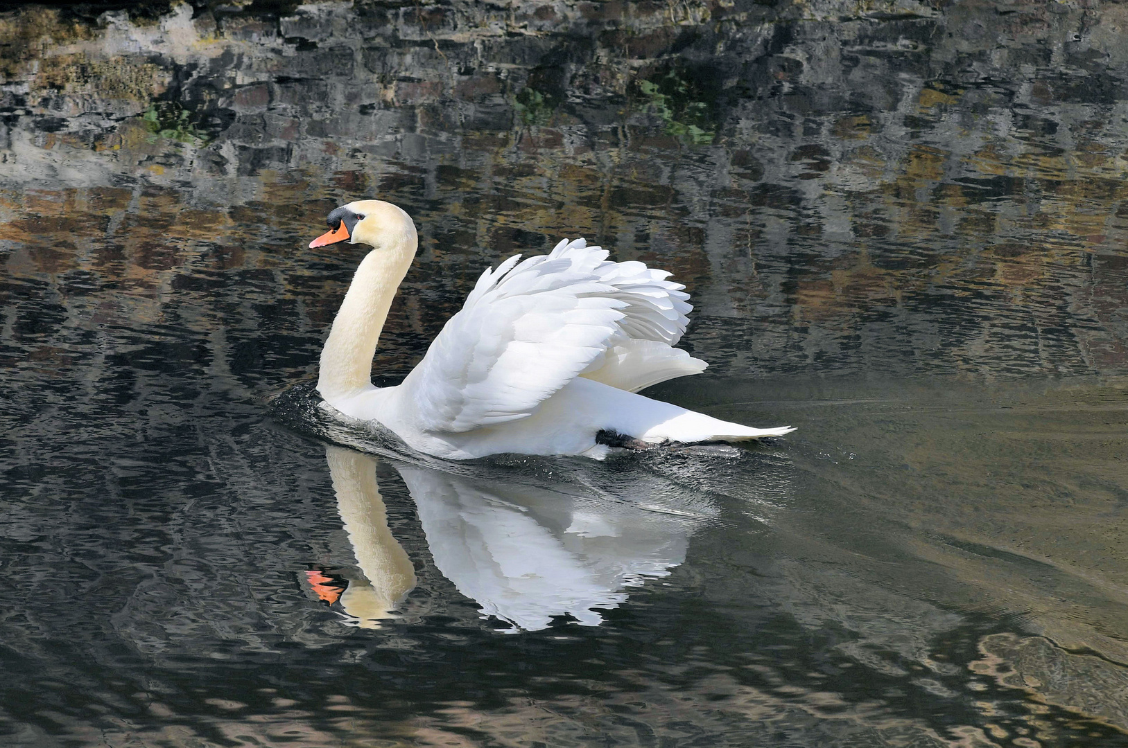 Der Burgwächter