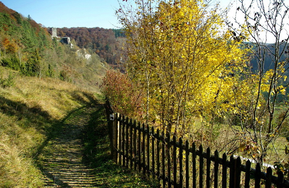 Der Burgweg