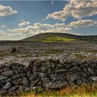 Der Burren