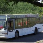 Der Bus