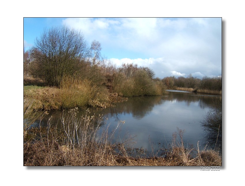 Der Buschgrabensee