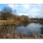 Der Buschgrabensee