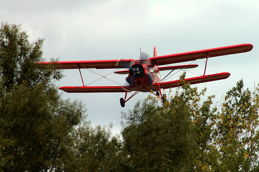 Der Buschpilot im Anflug