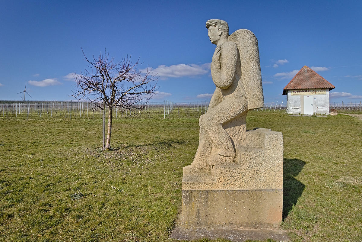 Der Buttenträger in den Alzeyer Weinbergen