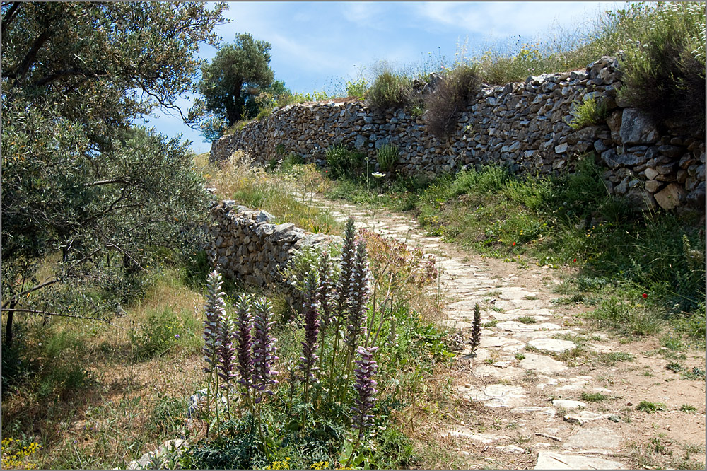 Der byzantinische Weg........