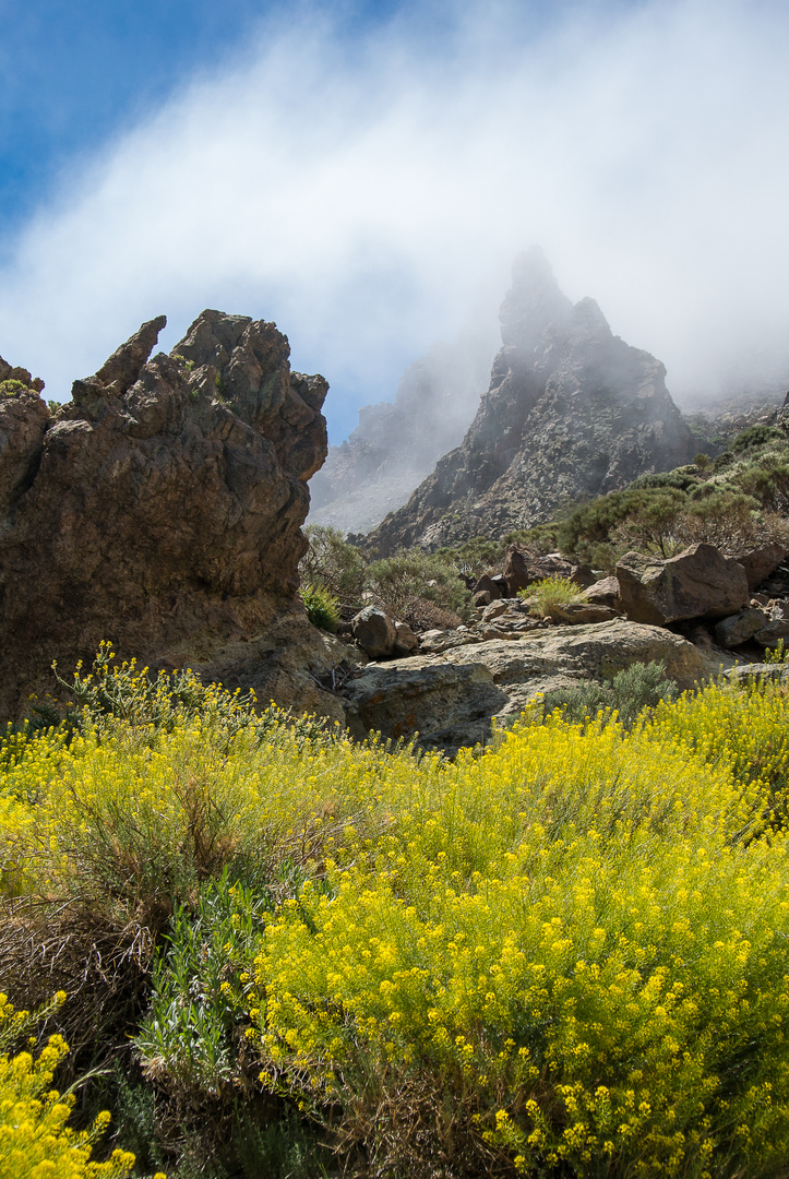 Der Caldera de las Cañadas