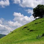 Der Calverbühl von der entgegengesetzten Seite