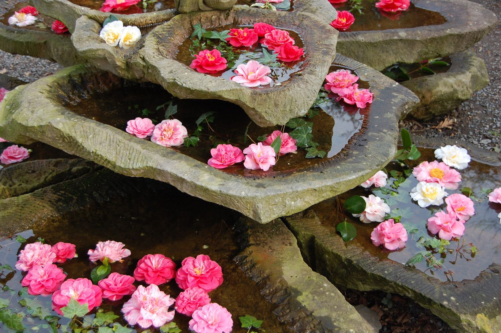 Der Camelienbrunnen