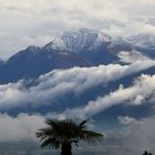 Der Camoghe (Tessiner Alpen)....