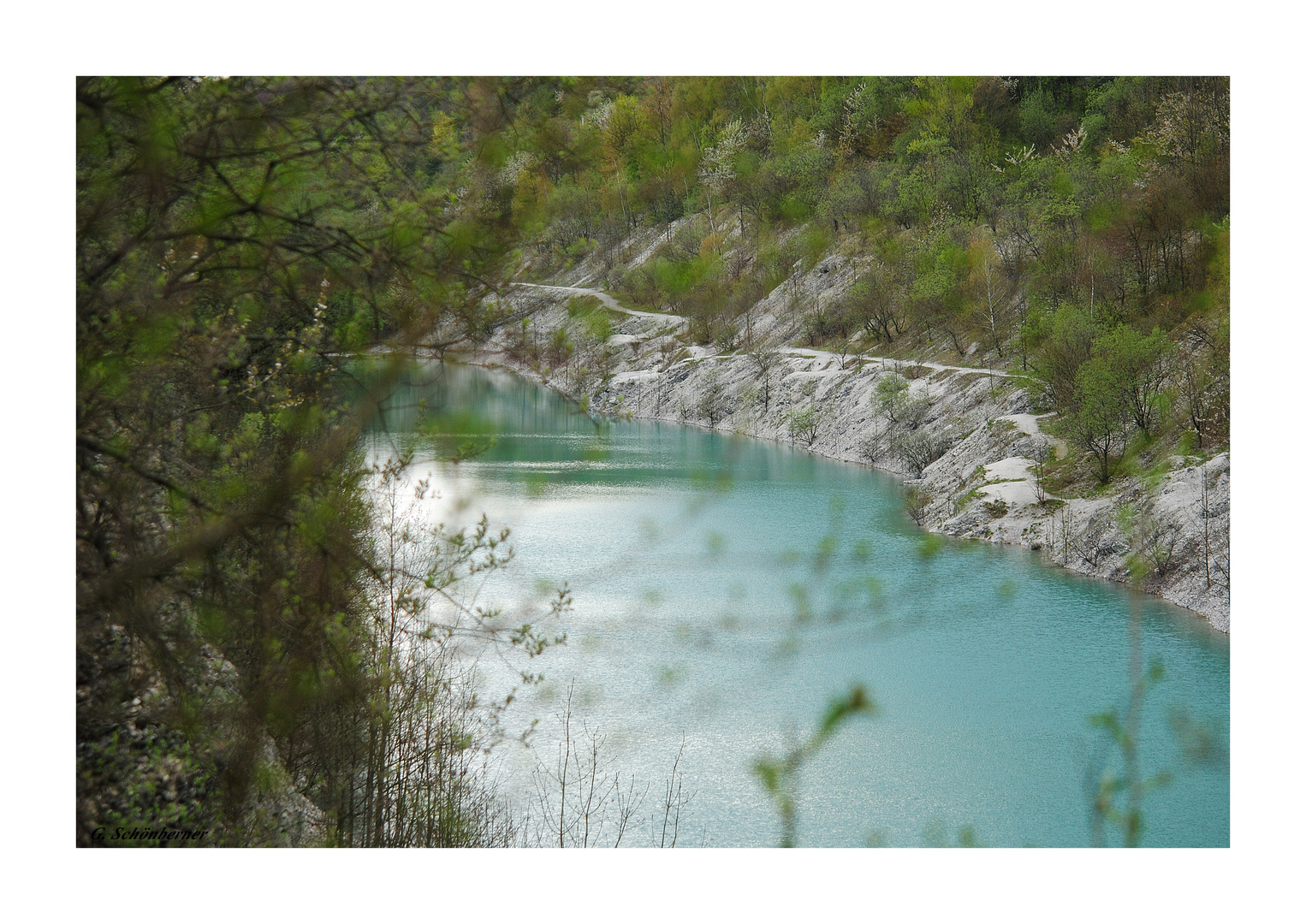 Der Canyon im Frühling