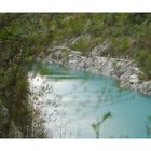 Der Canyon im Frühling