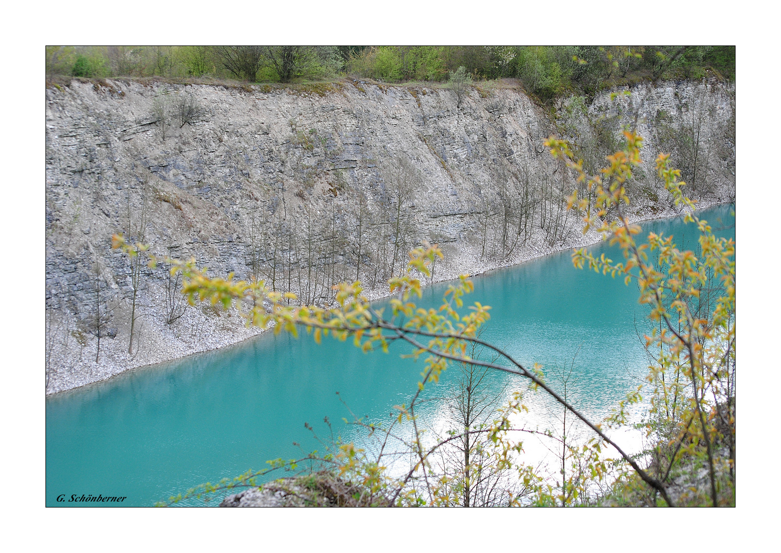 Der Canyon im Frühling 2