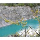 Der Canyon im Frühling 2