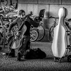 Der Cellist