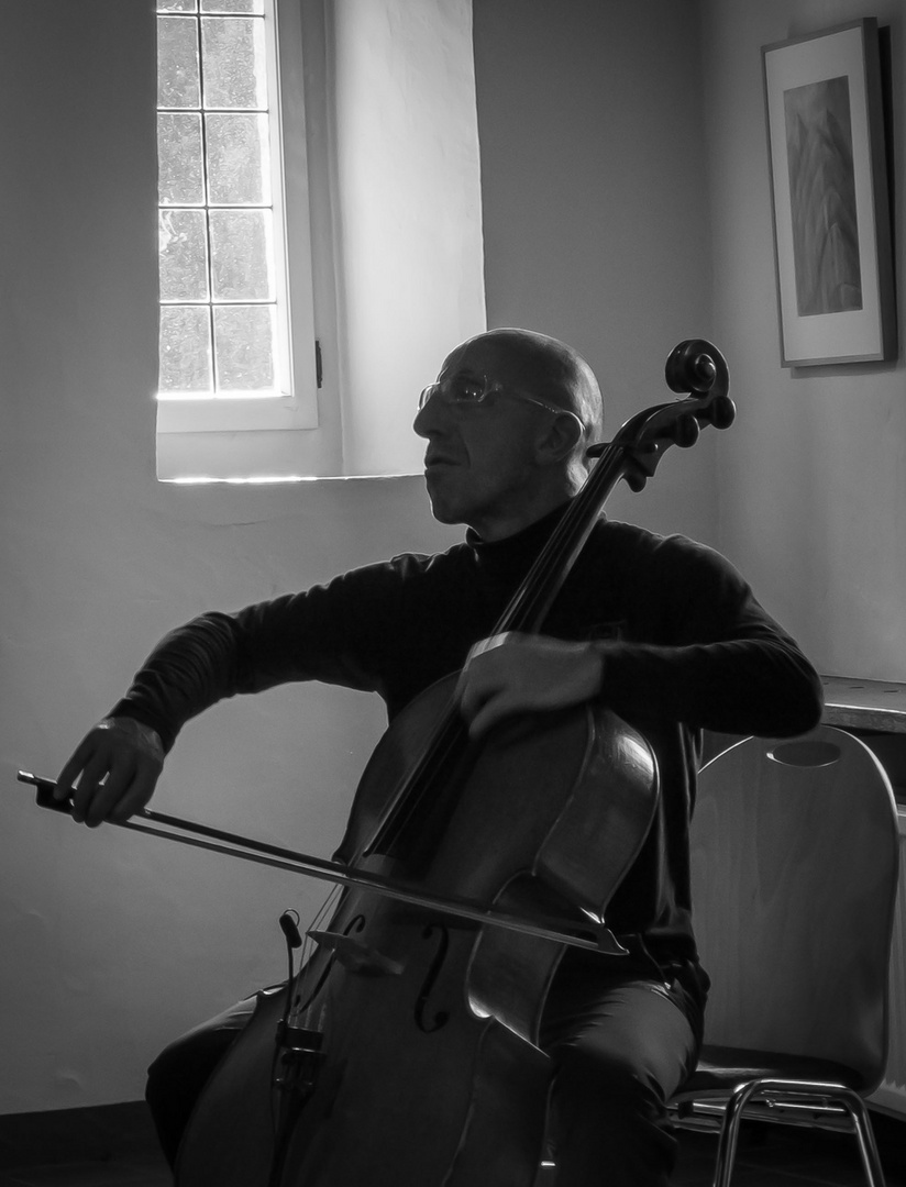 Der Cellist