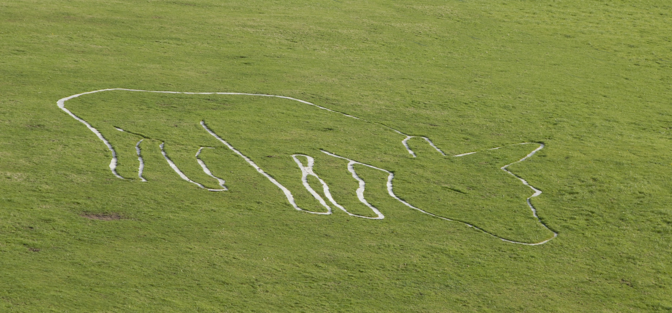 Der Cerne Abbas Giant