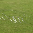 Der Cerne Abbas Giant