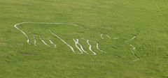 Der Cerne Abbas Giant