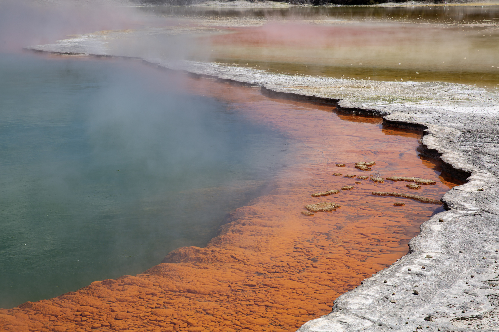 Der Champagne-Pool...