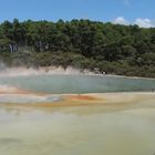 der Champagne-Pool im Waiotapu-Gebiet