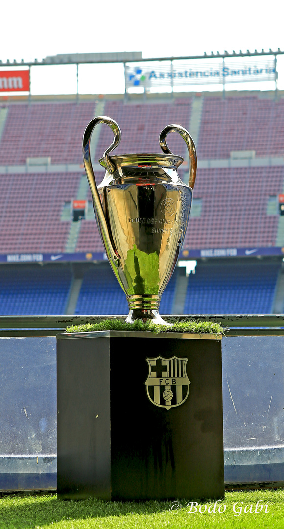 Der Champions-League-Pokal