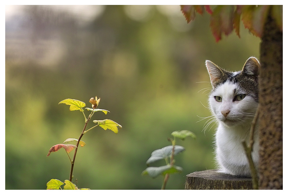 Der Chef hat alles im Blick