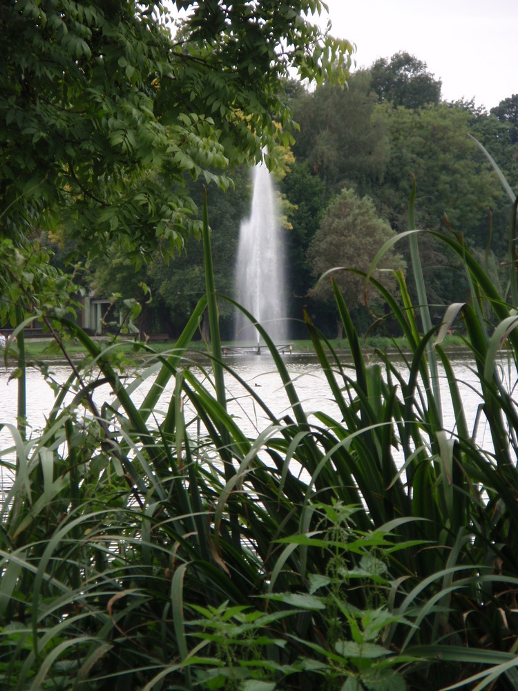 Der Chemnitzer Schloßteich spingt