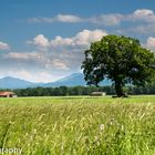 Der Chiemgau: Bayern für Flachländler