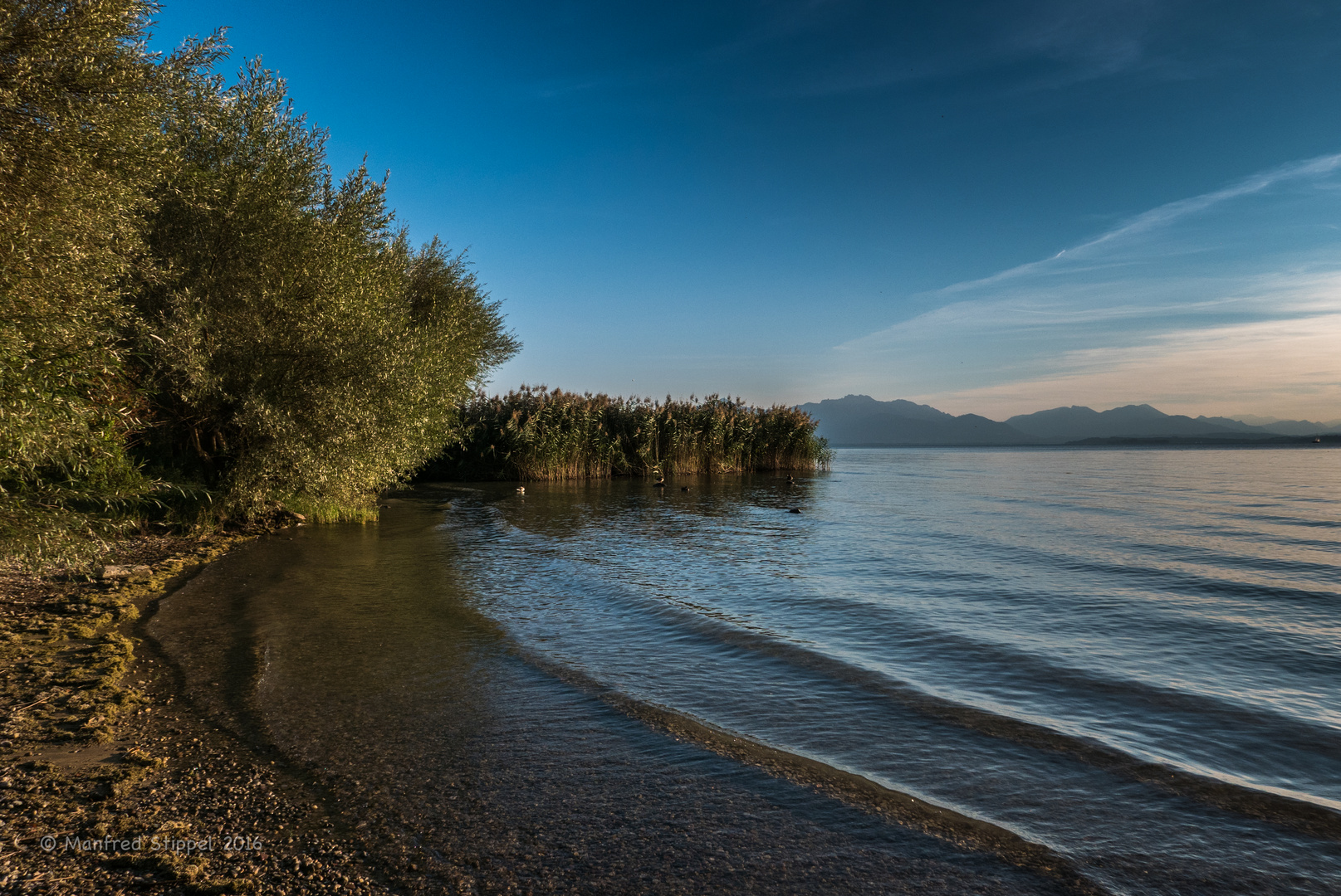 Der Chiemsee