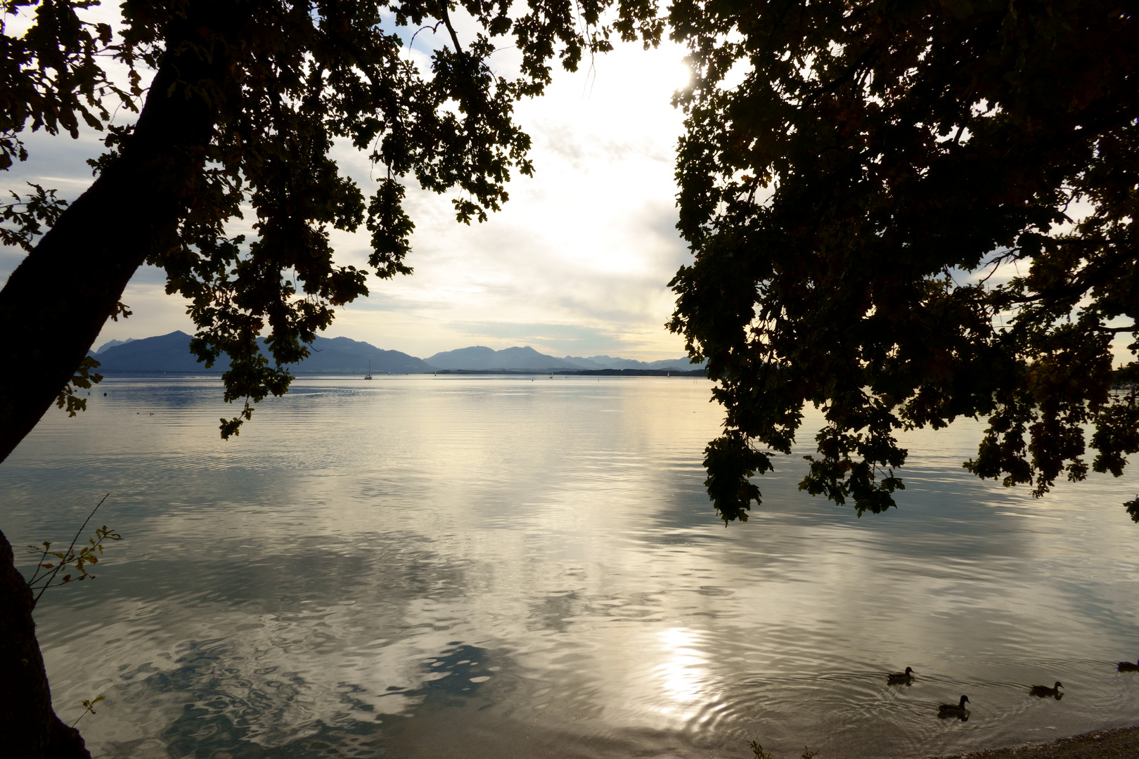 Der Chiemsee im Spätsommer 4