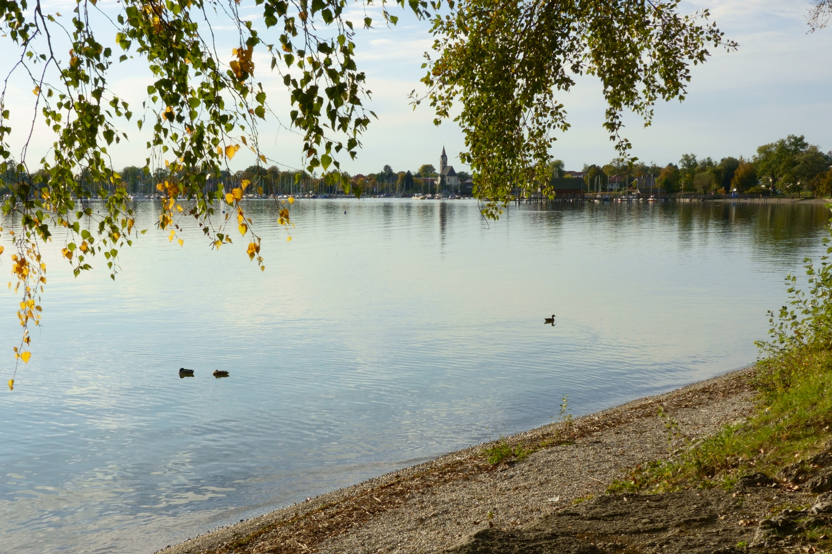 Der Chiemsee im Spätsommer 7