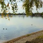 Der Chiemsee im Spätsommer 7