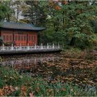 Der chinesische Garten des Duisburger Zoos im Herbst