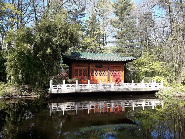 Der chinesische Garten im Zoo Duisburg3