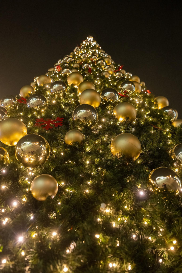 Der Christbaum Foto & Bild fotos, city, world Bilder auf