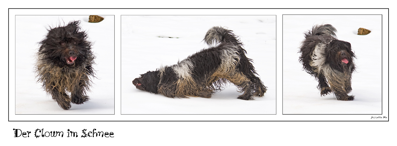 Der Clown im Schnee