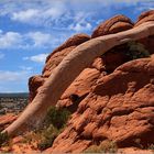 Der Cobra-Arch, Arizona-Nord