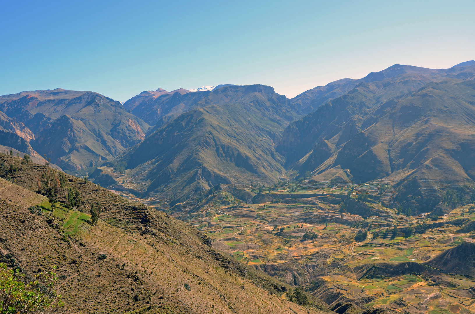 Der Colca-Canyon im Süden von Peru (2)