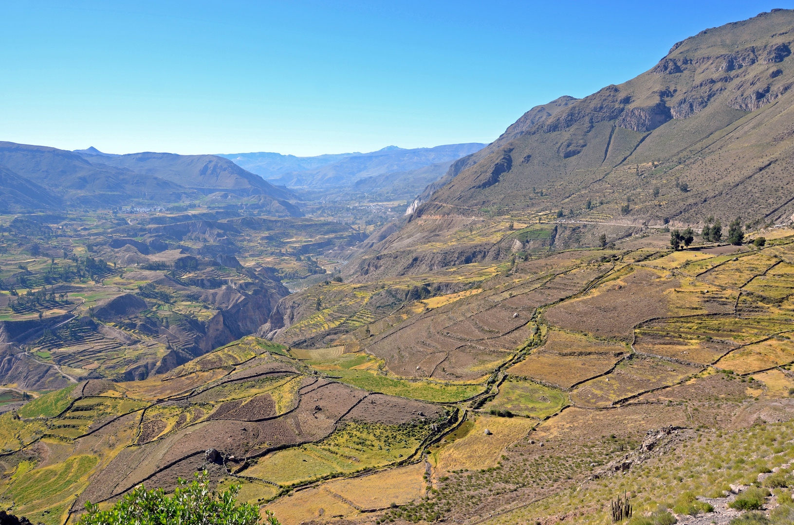 Der Colca-Canyon im Süden von Peru (3)