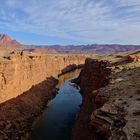 Der Colorado am Marble Canyon