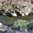 Der Colorado River, Costa Rica