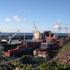 Der Containerhafen von Funchal