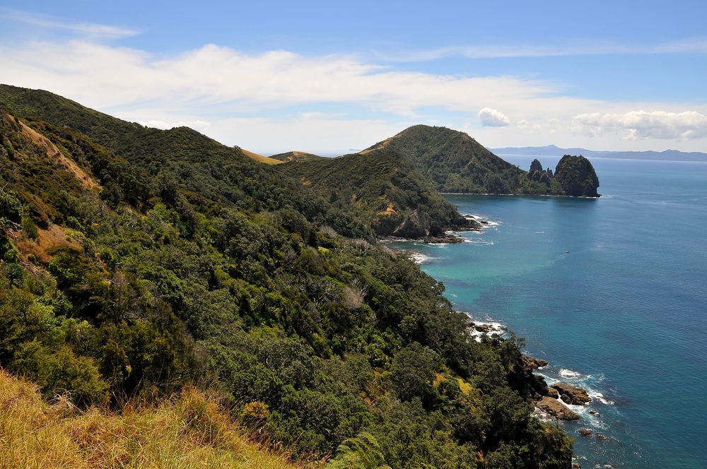 Der Coromandel Coastal Walkway