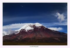 Der Cotopaxi, ohne Wolken