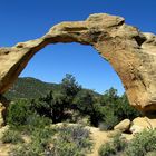 der Cox Canyon Arch in New Mexico