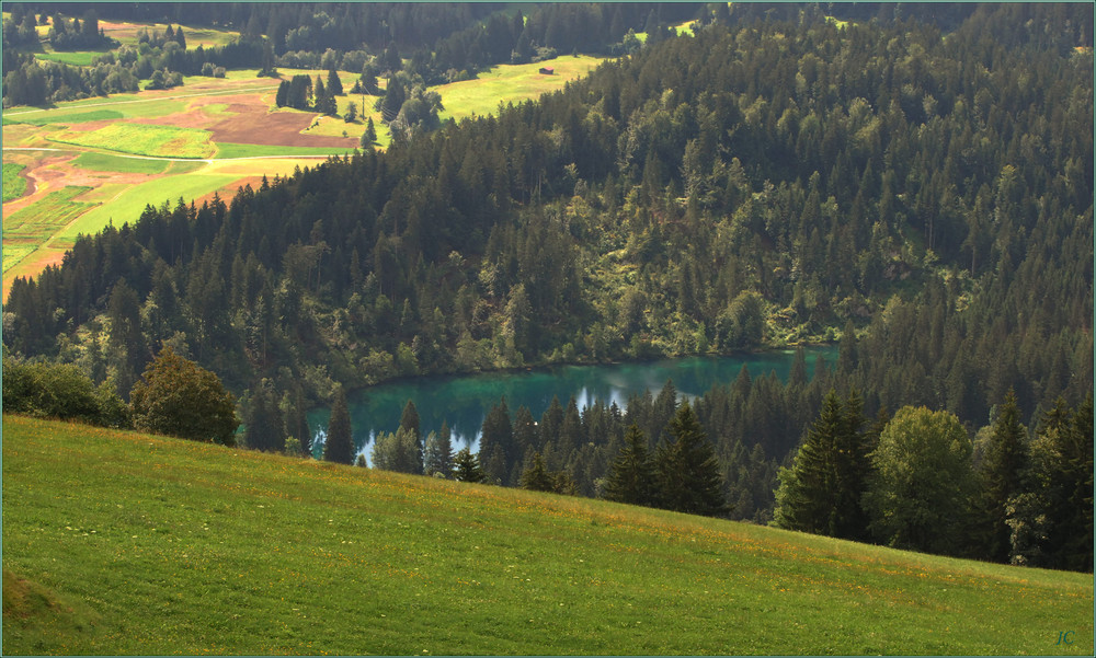 Der Crestasee # El lago Cresta